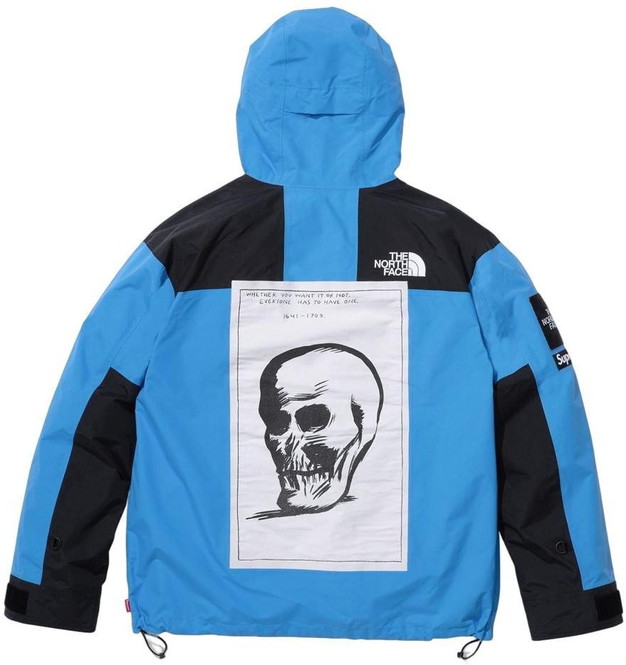 Supreme®/The North Face® Mountain Jacket view 18